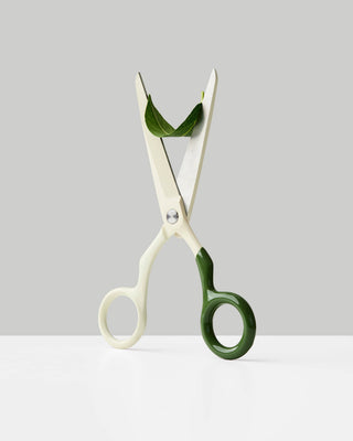 Craighill Spectra Scissors