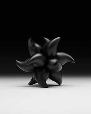 Craighill Andromeda Puzzle