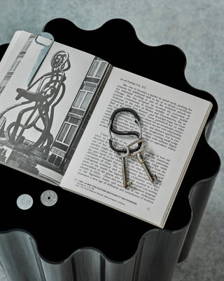 Craighill Coachwhip Carabiner