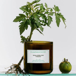 Flamingo Estate Roma Heirloom Tomato Candle