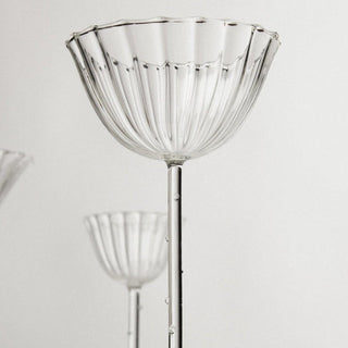 Sophie Lou Jacobsen Cosmo Cordial Glasses Set of 4